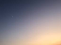 12. Fanfiction中Scout and Misery的激情碰撞