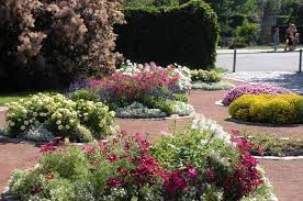 Interessierte frankfurterinnen und frankfurter und auswärtige gäste können die anlage kostenlos von frühjahr bis herbst besuchen. Botanischer Garten Frankfurt Oder Seenland Oder Spree Frankfurt Oder