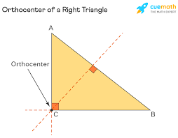 What Is The Difference Between Centroid, Orthocentre And Circumcentre  .............​ - Brainly.In