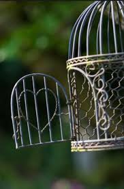 Bioshock Bird Or Cage Meaning Bird Cage Wallpaper Bird Cages Cage Bird Cage