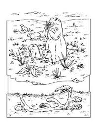 Man's best friend has a funny way of communicating sometimes, but almost everything your dog does has meaning. National Geographic Has Created Animal Coloring Pages Lots Of Them I Like That They Look Realistic Inste North American Animals Dog Coloring Page Prairie Dog