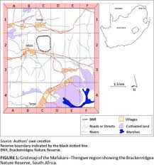 Image result for Brackenridgea zanguebarica