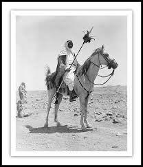 His years in the region deepened his knowledge of arabic and affinity for the arabs. The Bedu Ø¨Ø¯ÙˆÙŠ Bedouin Old Historical Photographs Horses Arabian Horse Historical