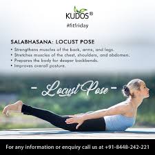 Salabhasana Locust Pose Yoga Facts Easy Yoga Workouts Yoga Benefits