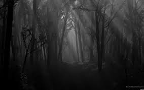 Sandbox Monochrome Spooky Paper Forest Black Trees Dark Shadows Dark Forest Forest Wallpaper Scary Backgrounds
