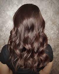 Dark Chestnut Brown Hair Chestnut Hair Color Hair Color Brown Chestnut Brown Hair Colors