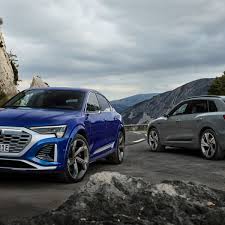 Image result for Magnet Gray 2024 SQ8