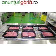 We did not find results for: Fabrica Germania Ambalat Carnea In Caserole Locuri De Munca Din Oradea Bihor