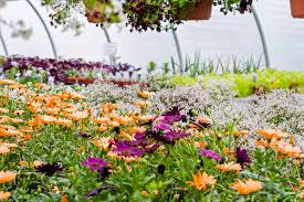 Send a gift card to that someone special today! Garden Center Gallery Forever Green Iowa City Coralville North Liberty
