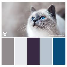 Royal Fluff Cool Crisp Palette For Pet Brand Inspiration Color Schemes Colour Palettes Color Palette Cat Colors