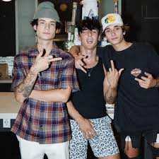 Bryce hall, los angeles, california. Youtube Creators Are Asking Influencers In La To Please Stop Partying The Verge