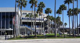 New York Yankees Spring Training