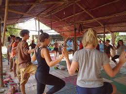 2806 ne sunset blvd, renton • 13.8 mi. The Strength Of A Yoga Tree Forest Mindfulness Project