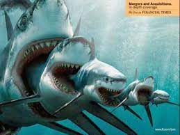 Man, shark, jaws, the meg, megalodon. Megalodon Wallpaper Hd Binatang Buas Binatang