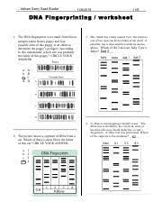 Dna fingerprinting relies on the fact that the dna code is uses for dna fingerprinting include: Dna Fingerprinting Worksheet 1 Ans Pdf Name Adham Samy Saad Elasfar Date Period 11 E Dna Fingerprinting Works Heet 1 The Dna Fingerprints Were Made Course Hero