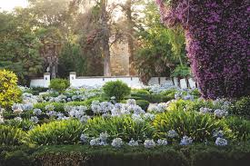 Casa real hotel at santa rita windery | mira terra images travel photography. Santa Rita Winery Wineries In Chile South America Wine Guide