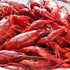 2 slap ya mama all natural cajun seasoning from louisiana, original blend, msg free and kosher, 8 ounce can. Boiled Crawfish Frozen Iqf By The Pound