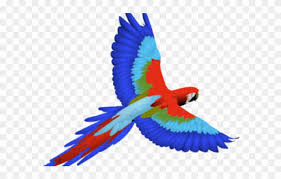 People also love these ideas Scarlet Macaw Flying Drawing Clipart 1835166 Pinclipart