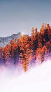 Winter Autumn Photography Landscape Photography Nature Fall Wallpapers