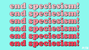 What Is Speciesism And How You Can Overcome It Peta In 2020 Speciesism Animal Experiments Weird Animals