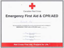We are an independent provider of cpr, first aid and aed training. Pin On First Aid