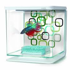 Hagen Marina Betta Aquarium Starter Kit Geo Bubbles By Hagen Http Www Amazon Com Dp B007mmub8u Ref Cm Sw R Pi Dp Dww2r Betta Aquarium Aquarium Aquarium Kit