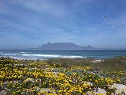 Powdery beaches lapped by two oceans; Perfect Spring Day Picture Of Cape Town Central Tripadvisor