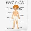 body parts for kids from www.momjunction.com