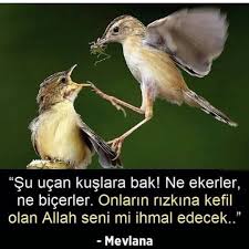 1 627 Begenme 7 Yorum Instagram Da Namaz Namaz Namaz Namaz Bismillahirrahmanirrahim ب س ــــــــــــــــــــــم اﷲ ار In 2020 Instagram Instagram Profile