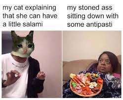 Cats Can Have A Little Salami Know Your Meme