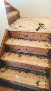 It appears they left a two inch overhang of carpet on the top. Diy Stairs Makeover From Carpet To Wood Everyday Shortcuts