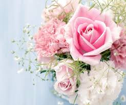 Maybe you would like to learn more about one of these? Bunga Ros Wallpaper Muat Turun Ke Telefon Bimbit Anda Dari Phoneky