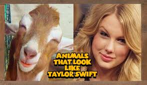 Image result for taylor swift ugly