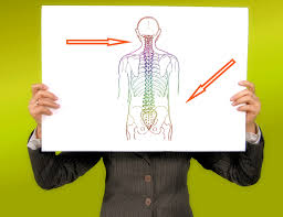 Immigrant muscles of the upper limb that lie superficially in the back. Why Upper Back Mobility Exercises Are The Best Whole Body Health Physical Therapy Portland Oregon