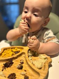 Introducing 7-month-old baby to 100 foods before 1