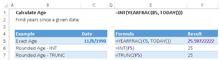 Click on show age as of date key. How To Calculate Age In Excel Automate Excel