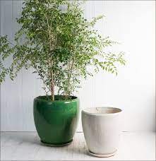 楽天市場 植木鉢 テラコッタ専門店 バージのindoor 鉢シリーズ ヴィトロ 受け皿あり ドゥオ一覧 植木鉢 テラコッタ専門店バージは楽天市場最大級の 鉢の専門店 ガーデニング鉢 インドア観葉鉢など 小鉢 １メートル超の大型鉢までラインナップ 用土 肥料も