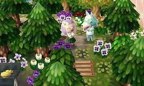 New horizons tips to up your island game. Acnl Forest Town Tumblr Animal Crossing Acnl Animal Crossing Funny