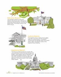 The Three Branches Of Government Branches Of Government 3 Branches Of Government Teaching Social Studies