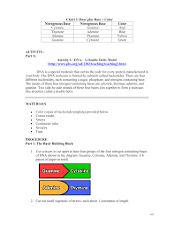 Dna Cutout Model Activity