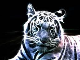 Animals Fan Art White Tiger Tiger Pictures Pet Tiger White Tiger