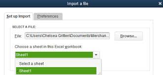 How To Import A Chart Of Accounts Into Quickbooks Pro
