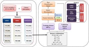 When cancerous tumors form on connective tissues, it is a sarcoma. Prediction And Analysis Of Skin Cancer Progression Using Genomics Profiles Of Patients Scientific Reports