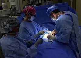 Jun 05, 2021 · in varsta de 21 de ani, mihaita bariz sufera de fibroza chistica si este foarte implicat in sprijinirea pacientilor care sufera de aceasta afectiune. PremierÄ In Romania La Cluj Se Va InfiinÈa Un Centru Integrat De Transplant De InimÄ Rinichi Ficat Èi PlÄmani Ebs Radio