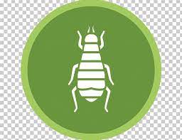 Pest control services for rhode island, eastern ct, and se massachusetts. Cockroach Ant Mosquito Woodland Davis Termite Pest Control Png Clipart Ant Bed Bug Bird Control