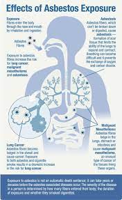 Exposure to asbestos particles is the only cause of mesothelioma, a rare disease with around 3,300 new cases in the united states each year. Do Not Disturb Asbestos Mesothelioma Asbestos Cancer