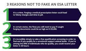 Emotional Support Animal Esa Letter Sample Therapy Pet Esa Letter Lettering Emotional Support Animal