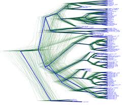 Genealogical tree of your family. Language Family Classifications As Newick Trees With Branch Length Stats Language Genetics