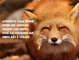 Pin Em Frases E Imagens Engracadas