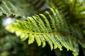 Image result for sample of photography